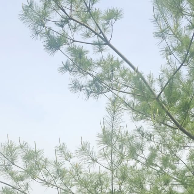 홍재미 (맞팔환영♡) on Instagram: "#협찬
💟 스탠다드에러 "87-STAN166 (블랙)"

진짜 청바지를 좋아해서 빈티지블루랑
블랙을 함께 구매했어요~
컬러만 다를뿐 역시나 핏이 진짜 대박..!

저 진짜 하체비만인데 와이드 핏이라 
진짜 다리도 길어보이고 날씬해보여요!!
편하게까지 하니까 너무 마음에 쏙~♥

빈티지블루가 청바지답게 블루블루하다면
블랙 팬츠는 블랙 다워서 
2개를 한번에 같이 구매하길 잘한거 같아요

이제 당분간 매일 스탠다드에러 청바지만
돌려입게 될 것 같아요!😆🙈👍🏻👍🏻

#스탠다드에러 #STANDARDERROR #남여공용팬츠 
#데님 #데님팬츠 #팬츠 #바지 #와이드바지 
#워싱팬츠 #와이드팬츠 #데일리룩 #바지추천 
#DenimPants #Denim #Pants #청바지 #청바지코디"