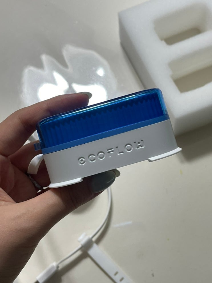 쿠팡 꿀템 구매후기 자동으로로 변기 물때 청소해주는 에코플로우 자동 변기 살균 세정제