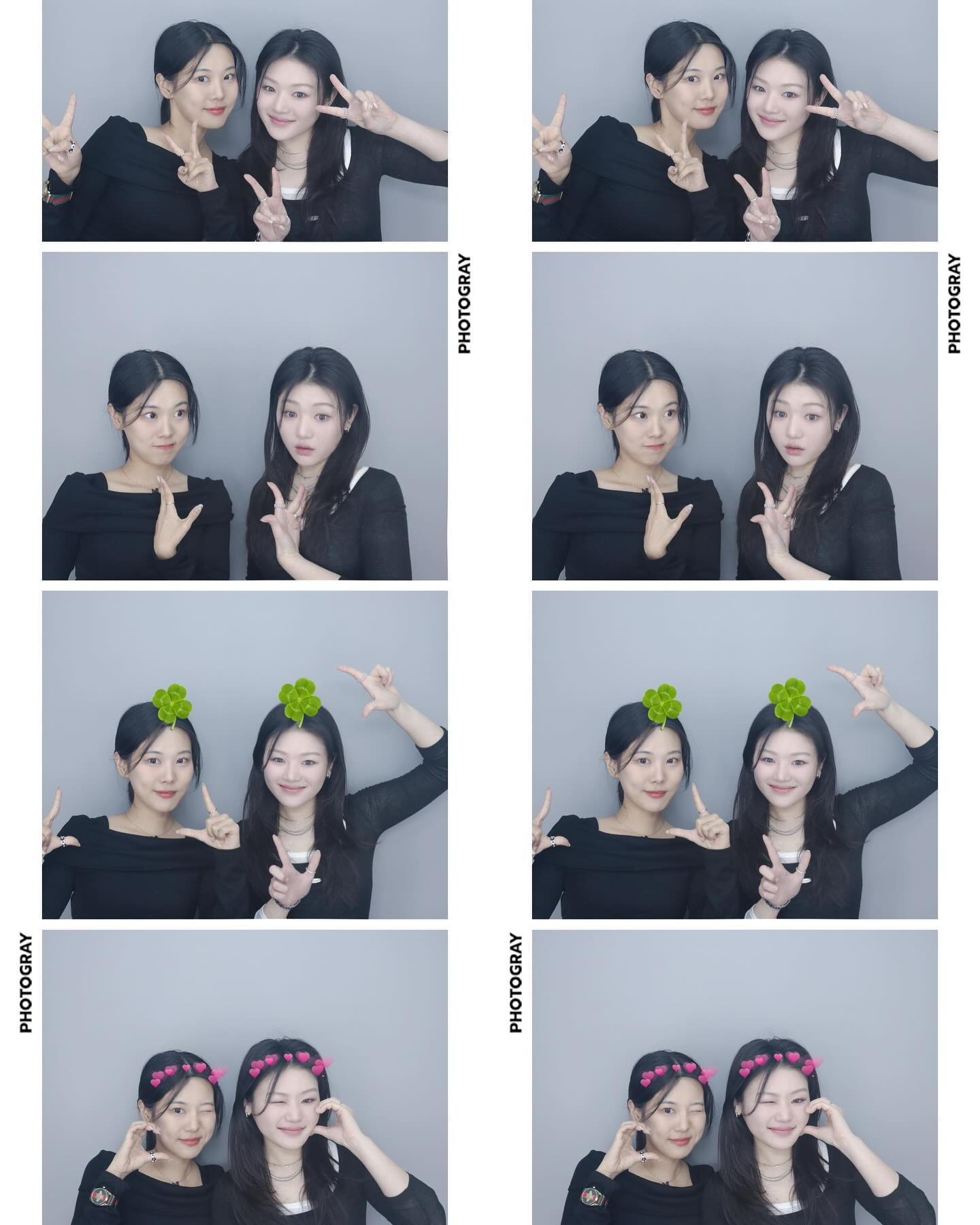이모저모 🐾