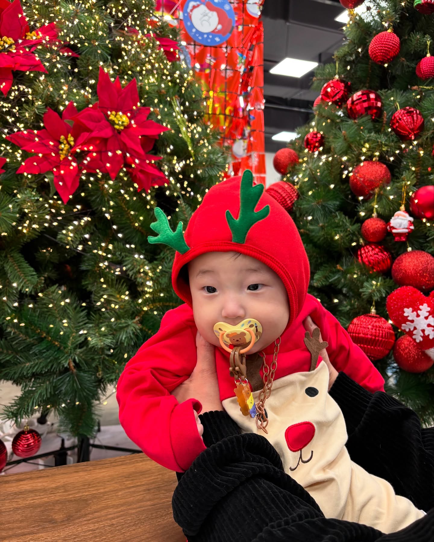 우리집은 한달동안 이미 크리스마스였지요🎄