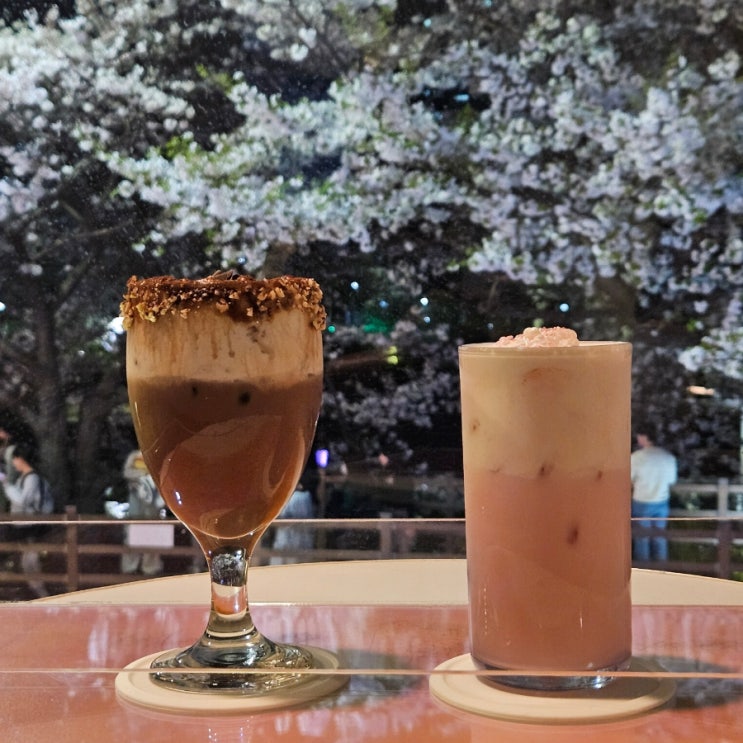 부산 온천천 벚꽃 보기 좋은 주차 편한 카페 아더와이즈커피바(+주차 정보!)