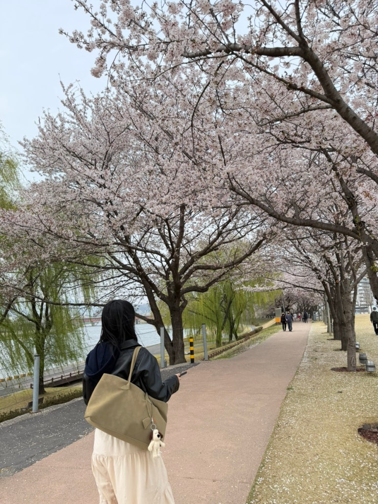 부담없는 레더 자켓 추천 리뷰[85-VIVA150 페어 버튼 프론트 나그랑 레더 자켓]