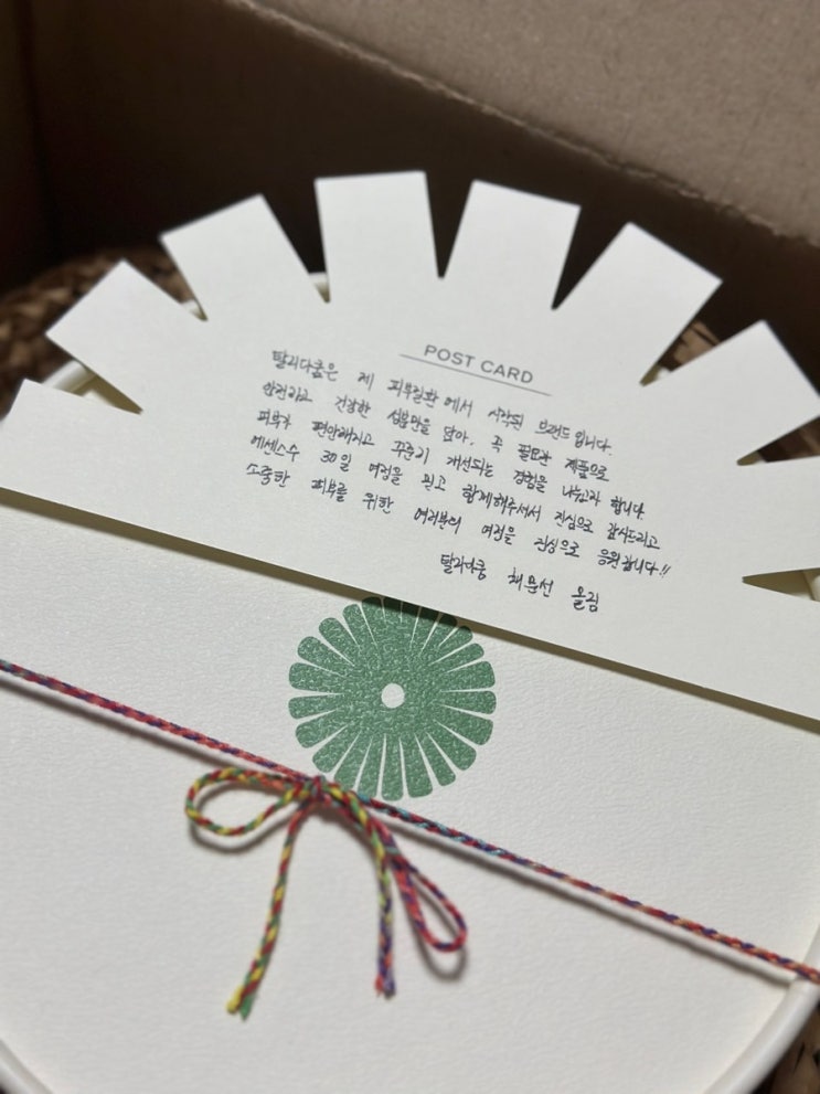 💚 민감성 피부도 편안하게! Talitha Koum 화이트 단델리온 에센스수 사용 후기 🌿