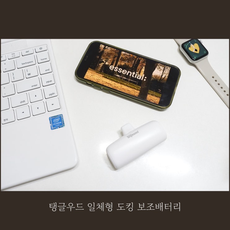 아이폰8핀보조배터리 추천 탱글우드 일체형 도킹 보조배터리