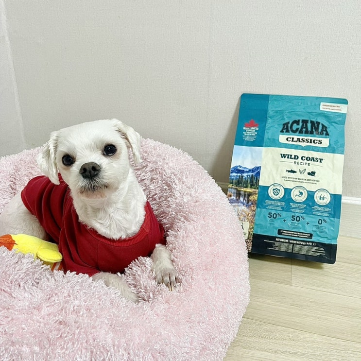 강아지저단백사료 아카나사료 기호성 좋아요