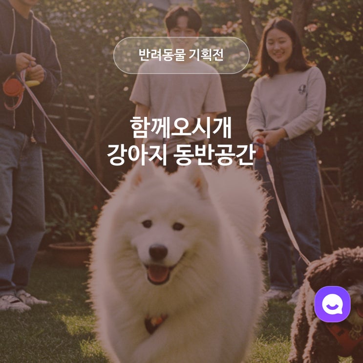 강아지 운동장부터 실내 공간까지! 애견동반 공간, 스페이스클라우드에서 여름휴가 보내기