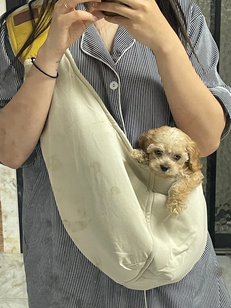 강아지 산책가방 강아지 슬링백 추천 꽁냥꽁냥제이