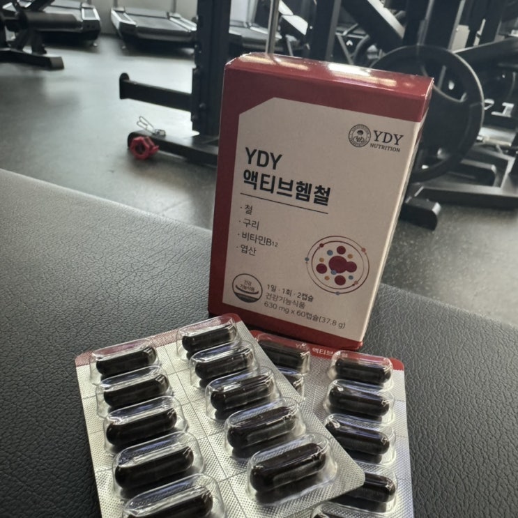 빈혈에 좋은 영양제 액티브헴철