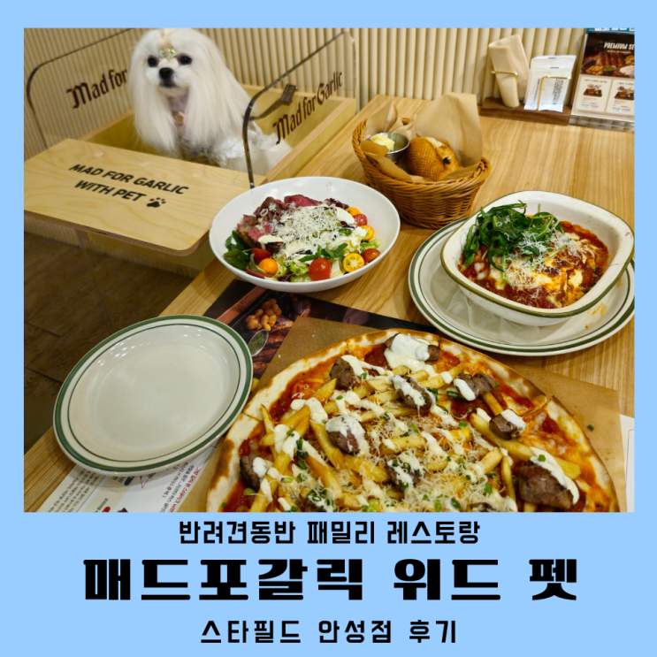 매드포갈릭 위드펫 안성 스타필드 애견동반 식당 후기