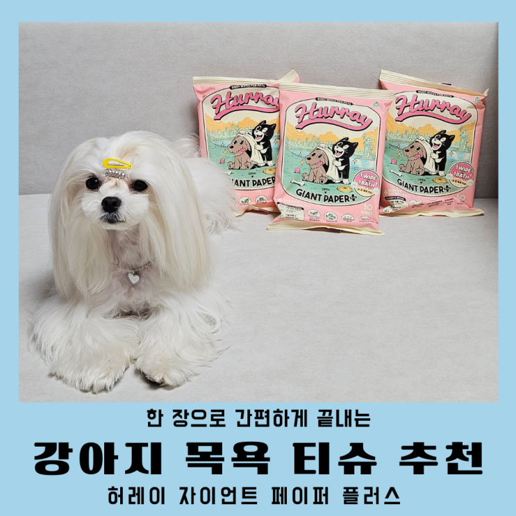 강아지 바디티슈 추천 목욕 대신 허레이 자이언트 페이퍼