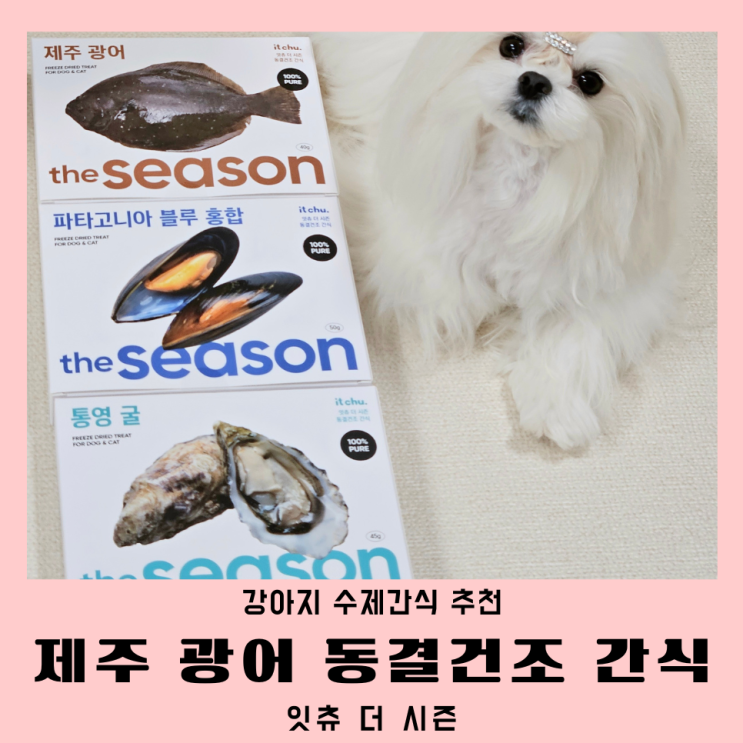 강아지수제간식 추천 잇츄 더시즌 동결건조 간식 후기