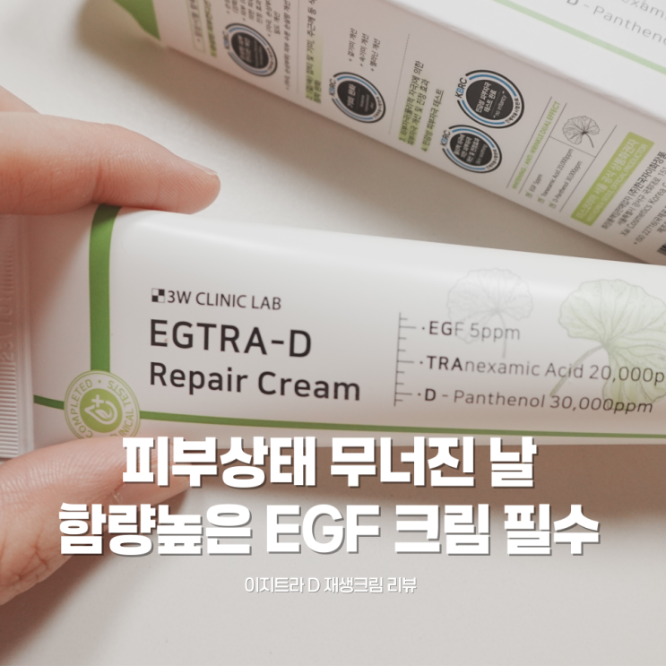 이지트라 재생크림 후기, EGF 함량 높은 재생크림 찾는다면 꽤 괜찮았던 이유✨