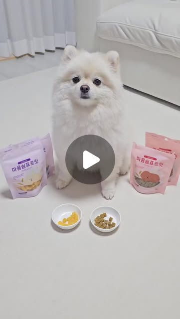 #광고 

어쩔수없이 집을비울때 노즈워크에 릴렉스펫 트릿 
야무지게 넣어주고 나오면 쳐다보지도 않고 짖지도 않고 
환장하고 먹는 트릿이랍니다🤣

초소형사이즈로 강아지 앉아~기다려~~ 훈련도 시킬수있어요
연어보다 고구마를 더 좋아하는 댕댕이 구름🐶

여러 노즈워크에 야무지게 넣어줘보세요~~
주인이 나가도 관심도 없답니다ㅋㅋㅋㅋ
_
_
_
_
_
#릴렉스펫 #강아지분리불안간식 
#강아지스트레스케어 #강아지건강템