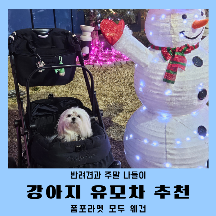 개모차 추천 폼포라펫 모두 웨건 나들이 후기