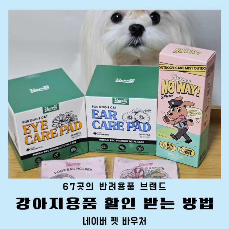 네이버 펫 바우처 허레이 강아지용품 할인 받는 방법