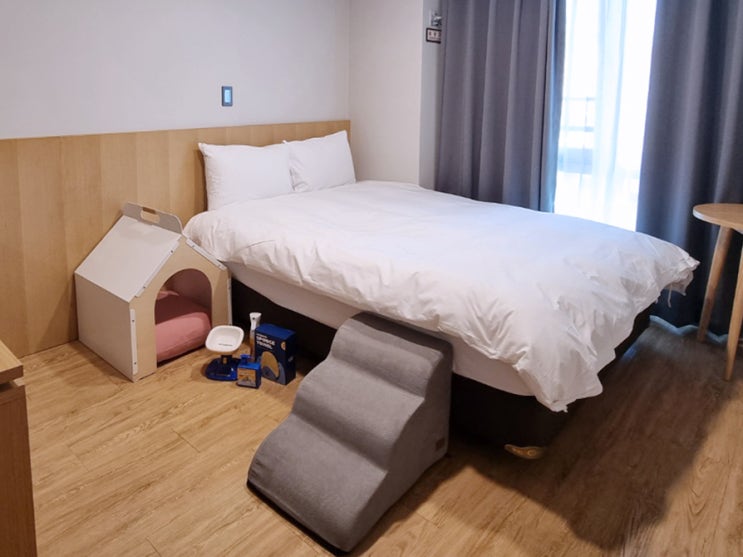 여수 애견동반 가성비 호텔 케니의 주차, 조식, 세미나실 그 모든 것