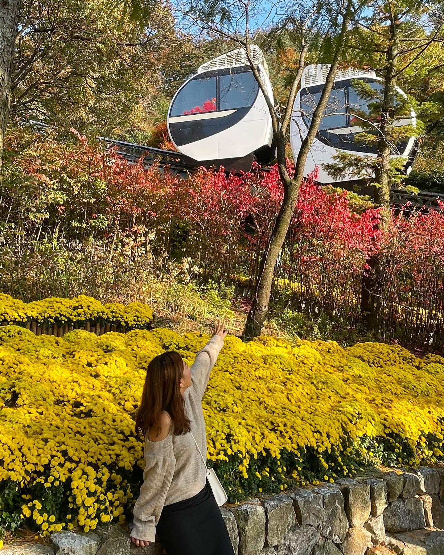 Yellow💛
편안하고 행복한 그런 느낌🌼
모노레일은 타는 것보다 보는 게 더 예뻤다

#화담숲 #국내여행 #autumn #flowers