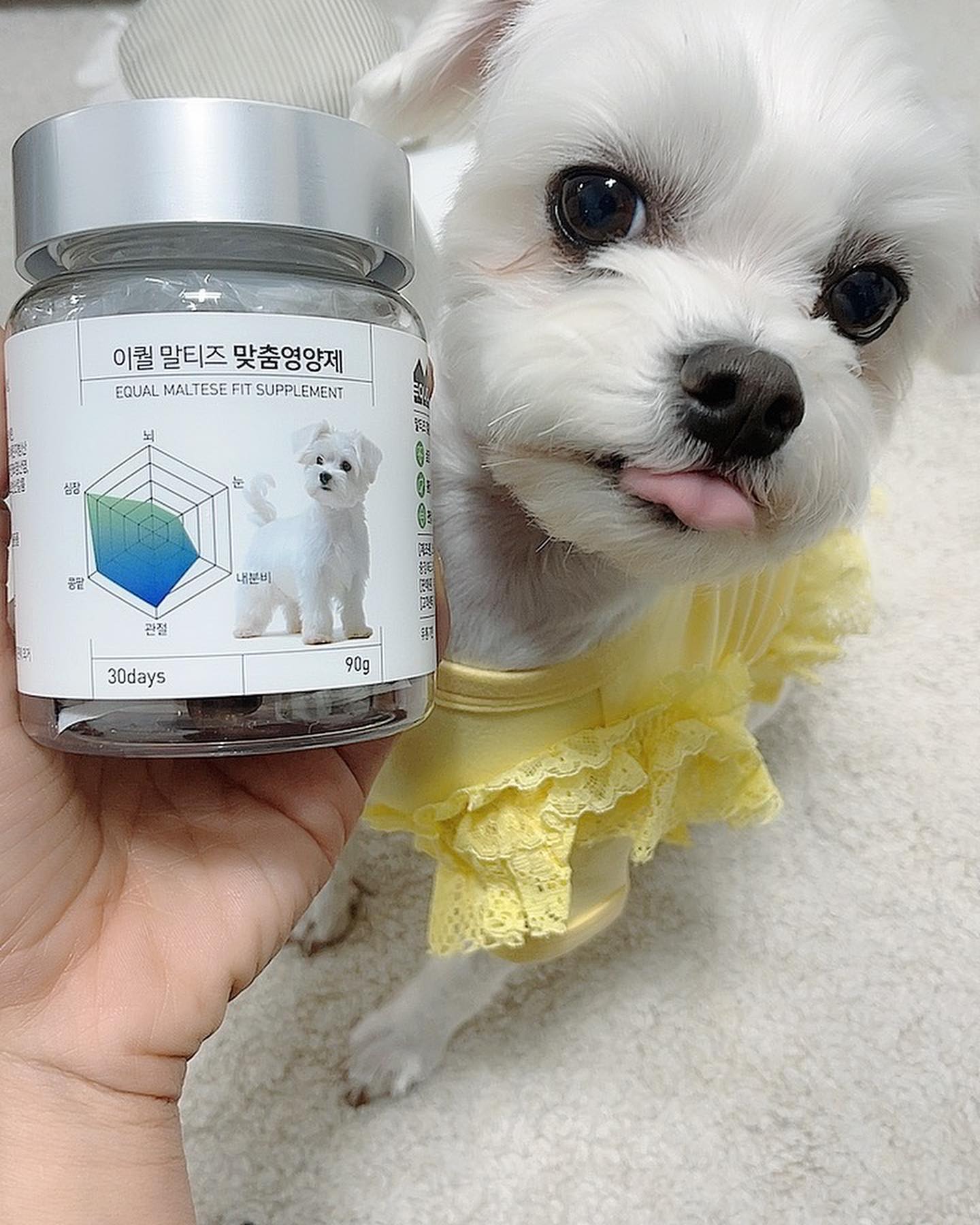 #협찬 #제품제공
나 말티쥬 리별찌야🐶🤟🏻
우리댕댕이들도 영양제 꼭 먹어야하는거알지?
나 리별찌 다섯쨜✋🏻 몸 챙겨야하는 나이거든

👉🏻이퀄 말티즈 맞춤영양제
말티즈 맞춤영양제 탄생! 국내외 수의사분들이 ’종의 건강 특성‘ 을 고려해 맞춤영양제를 개발했다고해🫨 𝙁𝙤𝙧 𝙈𝙖𝙡𝙩𝙚𝙨𝙚 오직 말티즈만을 위한 영양제🤟🏻
✔️말티즈를 위한 1:1 맞춤성분, 말티즈에게 많이 나타나는 질병을 고려해 필요성분을 쏙쏙 넣었다구해!
✔️말랑말랑한 츄어블 제형, 기호성말해뭐해👍🏻
✔️NON-GMO, 저알러지 원료, 부형제는 최소화

✅ 별찌후기
말티즈를 위한 영양제라니🫶🏻
별찌에게 가장 중요한점은 바로 기호성! 말랑말랑한 부드러운 츄어블 제형이라 너무 잘먹어서 좋았어👍🏻
5kg미만 댕댕이들은 하루 권장량 1개라 별찌가 너~무 아쉬워했다는😂
말티즈뿐만 아니라 다른 견종 친구들도 있으니 영양제 챙겨먹고 우리 오래오래 건강하쟈💕 

🏷️ equal_pet

#이퀄 #이퀄영양제 #Equal #Equal영양제 #맞춤영양제 #강아지영양제 #반려동물영양제 #말티즈 #말티즈영양제 #강아지심장영양제 #강아지관절영양제 #강아지콩팥영양제 #말티즈심장 #말티즈관절 #말티즈슬개골탈구 #말티즈결석