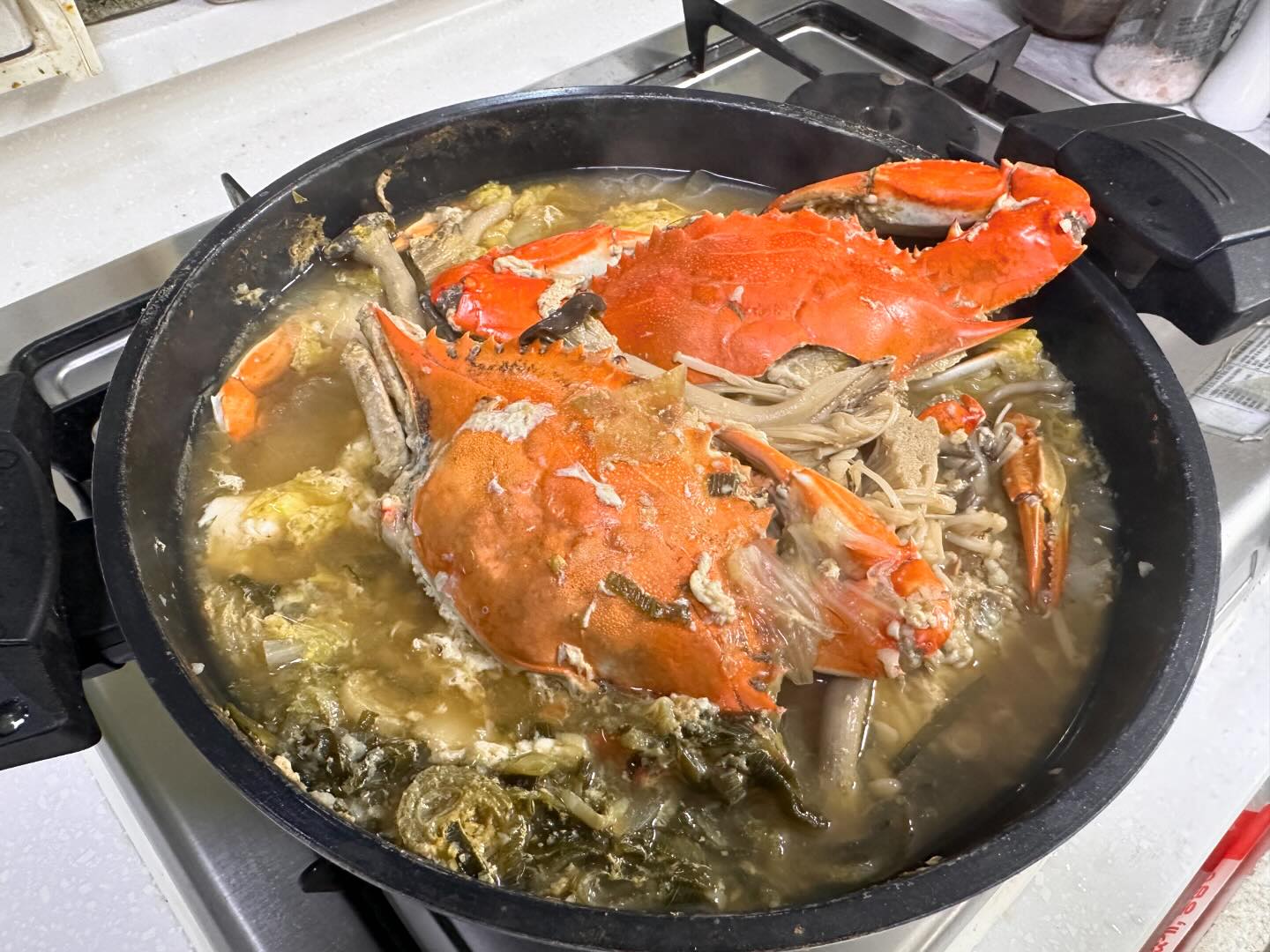 봄이왔으니 꽃게탕🦀

#니네입은입이고 #내입은주둥인겨 #간식3개에소고기말아드신분