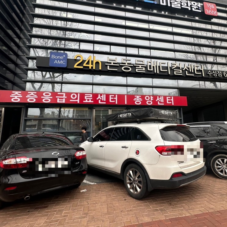 렉돌심장 초음파 검사 경산24시동물병원 , 대구24시동물병원 추천 "본동물메티컬센터 24시"
