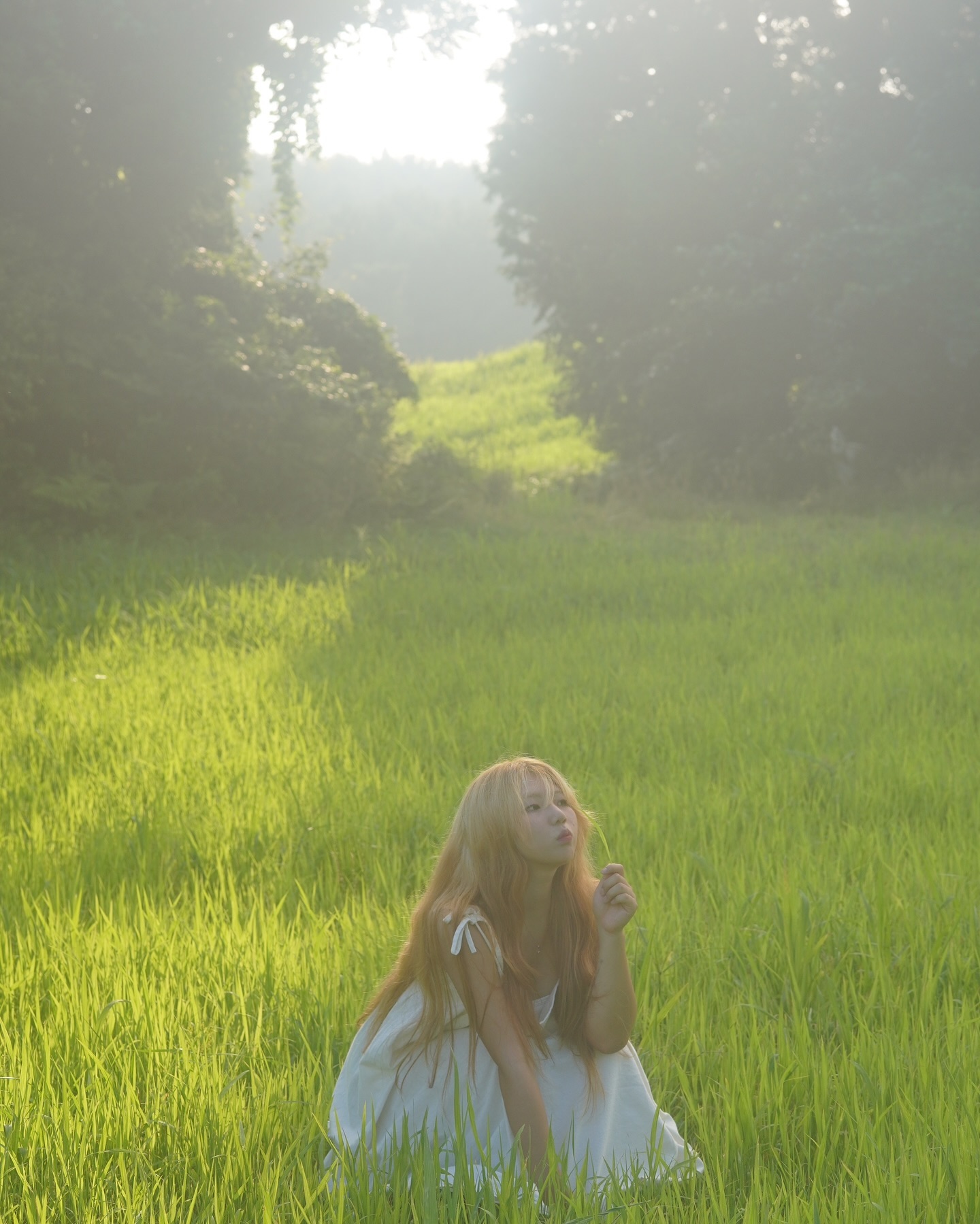 시들어버린 옷과 하얀 계절
Photo by. limks8284