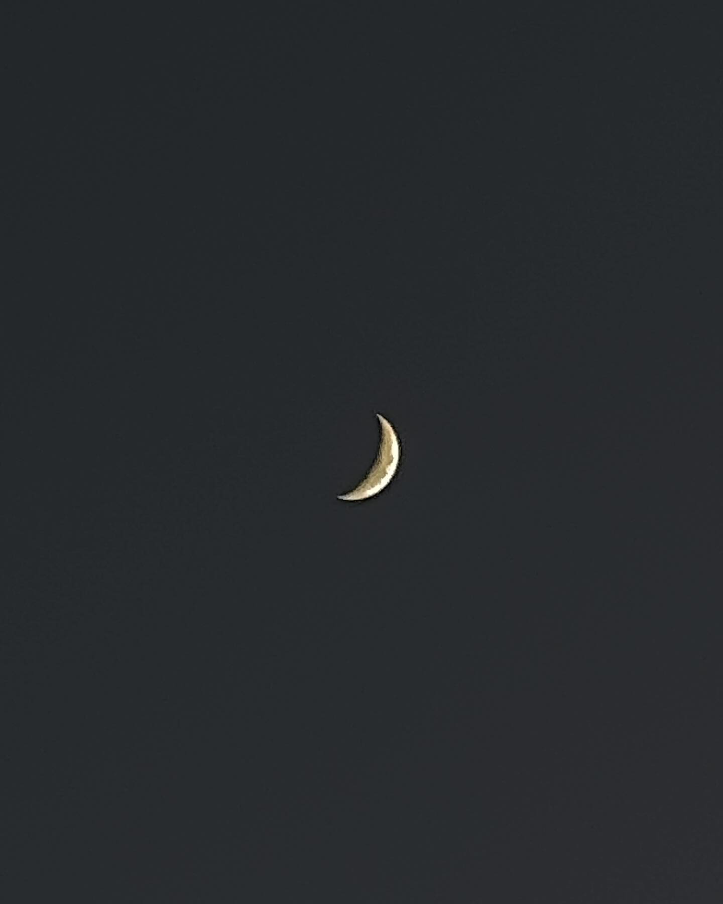 콘텐츠