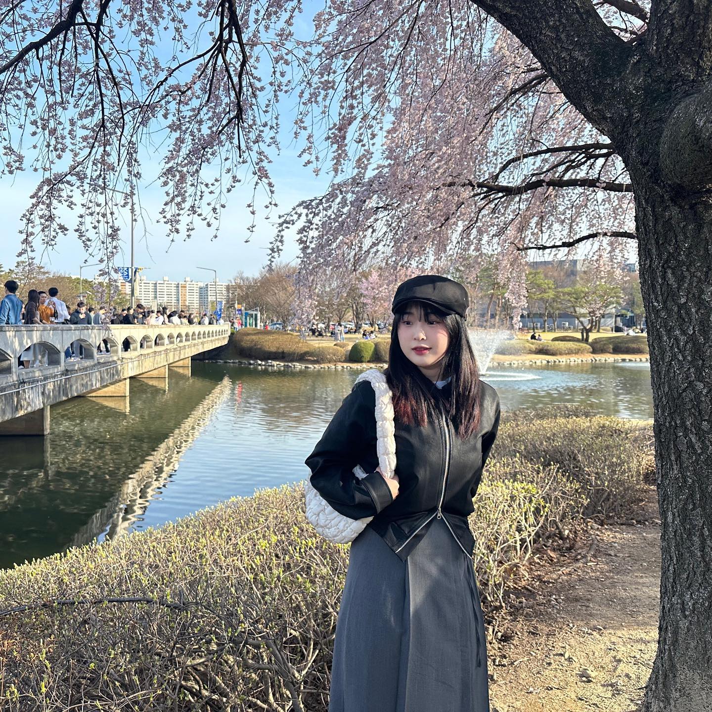 벚꽃🌸