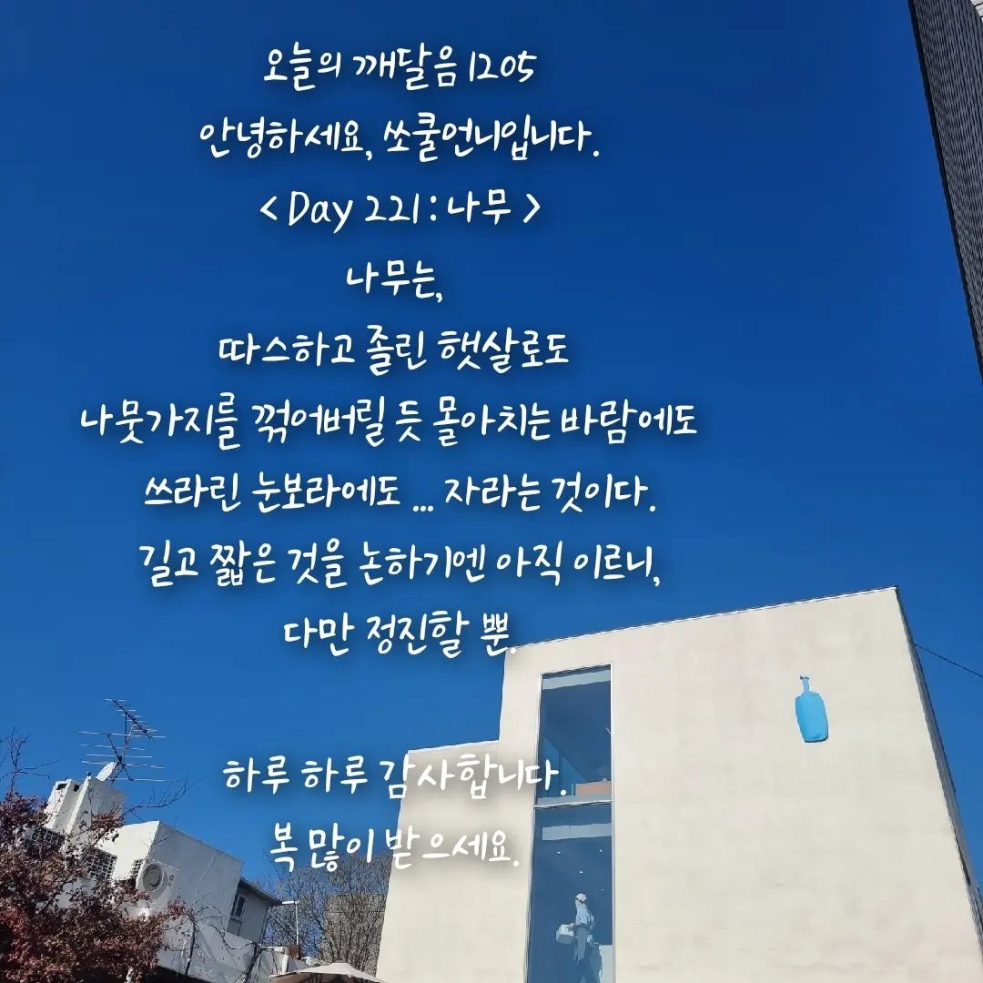 콘텐츠
