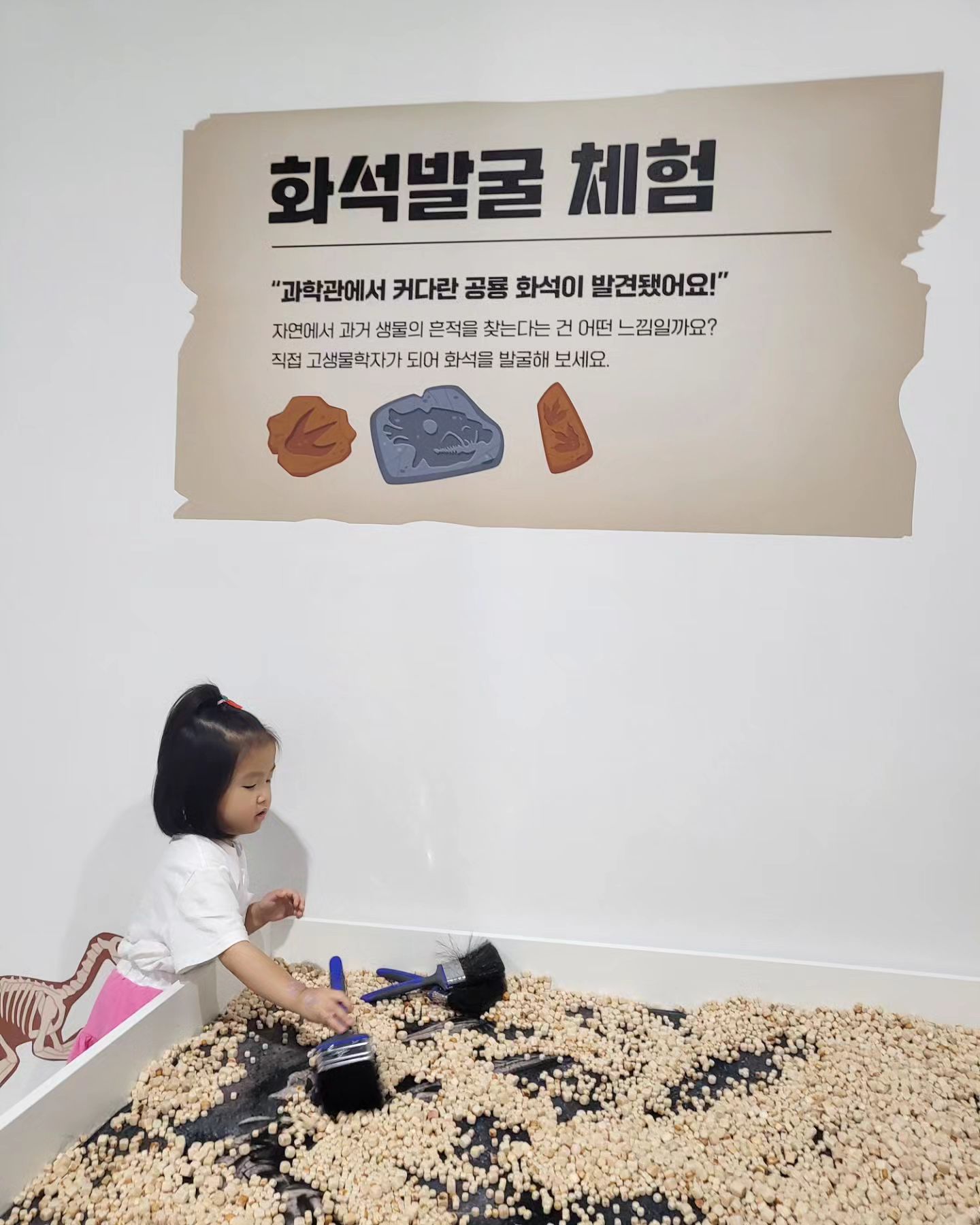 #일상 
20JUL24

국립광주과학관 공룡특별전 다이노월드 다시 제대로 파헤쳐보기✌🏻

율이에게 공룡호기심을 더욱 넣어주기 위해
준이에게 공룡과의 친근함을 느껴주기 위해
공룡특별전 다이노월드에 재방문한 율준이네🫶🏻🤍

첫번째 방문 때보다 집중을 더욱 잘 하는 율이와
첫번째 방문 때보다는 덜(?) 무서워하는 준이(feat. 귀여움탑재)

다이노 게이트를 지나,
다이노 타임머신에서 화면 한 번 봐주고,
다이노 뮤지엄에서 공룡들과 만나보고,
다이노 파크에서 색칠도 해보고 탭을 이용한 공룡발자국도 만나보고,
다이노 랩에서 화석발굴체험과 화석을 만들어보기도 하고,
에필로그에서 공룡 멸종설 생각공유까지!

이 날 8000보 이상 걸은 듯함🙃
(어린이과학관 다녀온거 포함, 안비밀😉)

다양한 실물화석과 생동감있는 움직이는 공룡모험을 통해 공룡시대
제대로 여행하고 온 율준이네🫡
공룡을 과학적인 시각으로 접근해 탐구하고 즐길 수 있는 다양한 콘텐츠가 구성되어 있어 확실히 아이들의 호기심과 친근감 모두 잡을 수 있는 전시였다는게 키포인트👍🏻

다음달에 과학관 또 갈건데 다이노월드 또 갈래?😎🩷
다이노월드 I Remember You!!!
그런 의미로 BGM은 싸이의 I remember you 갑니다😘

📢 #국립광주과학관 공룡특별전 다이노월드 전시는
6/21~9/1까지 계속 되니
아직도 방문하지 않은 육아맘님들, 달려요달려🏃🏻‍♀️

📢 국립광주과학관 7월~ 행사일정 미리보기
 ⬇️⭐️ 율준이네가 기대하고 있는 행사!!
- 2024 물과학체험장 7/27(금)~8/25(일)
- 73일의 썸머 오프라인 응모권 추첨 이벤트 7/23(화)~8/22(목)
- 제 5회 매트아스 공모전 접수 6/24~8/25(일)
- 공룡특별전 다이노월드 6/21(금)~9/1(일)

#남매일상 #남매엄마 #남매가족 #육아정보공유 #아이와가볼만한곳 #공룡 #다이노월드