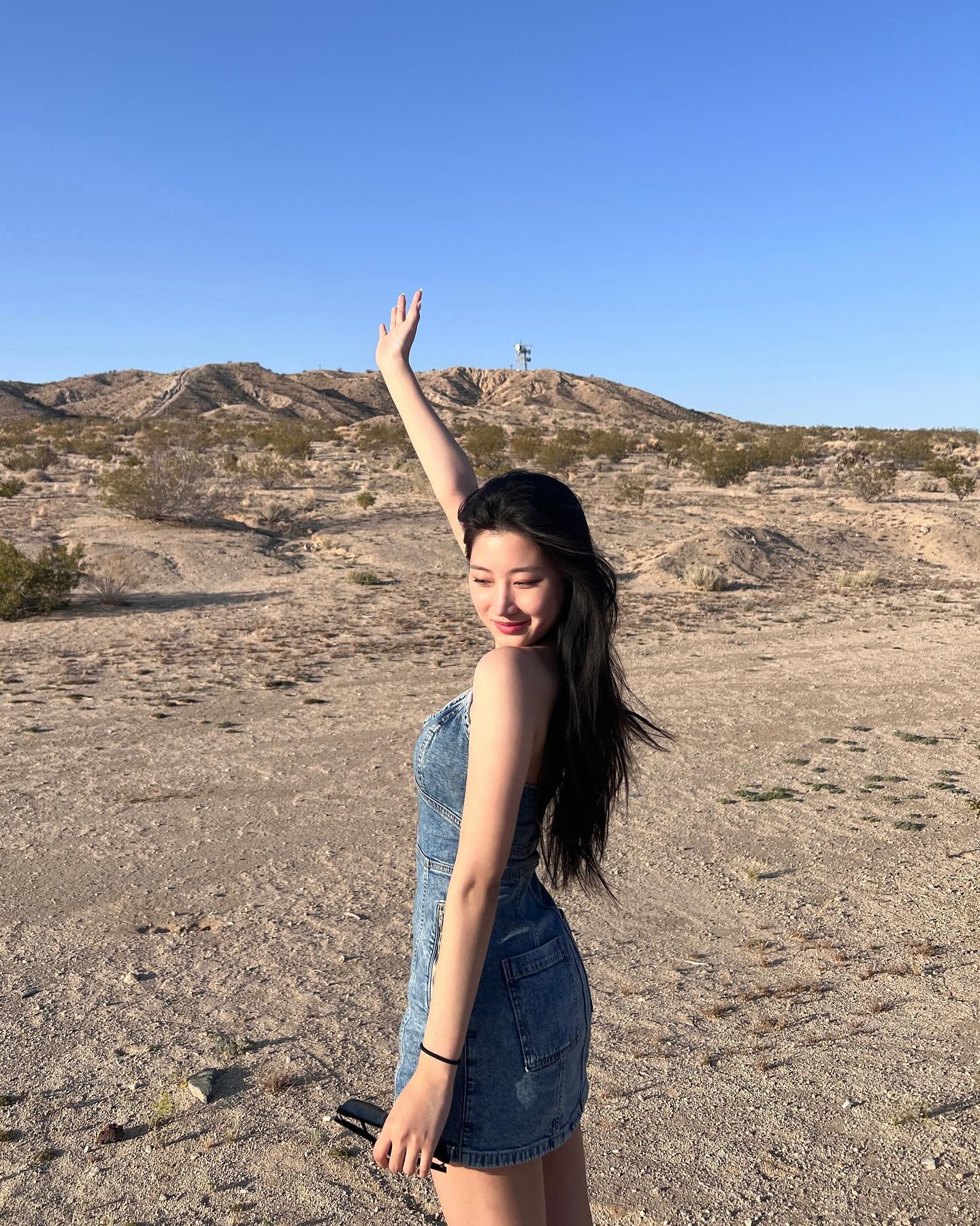 🌵🏜️