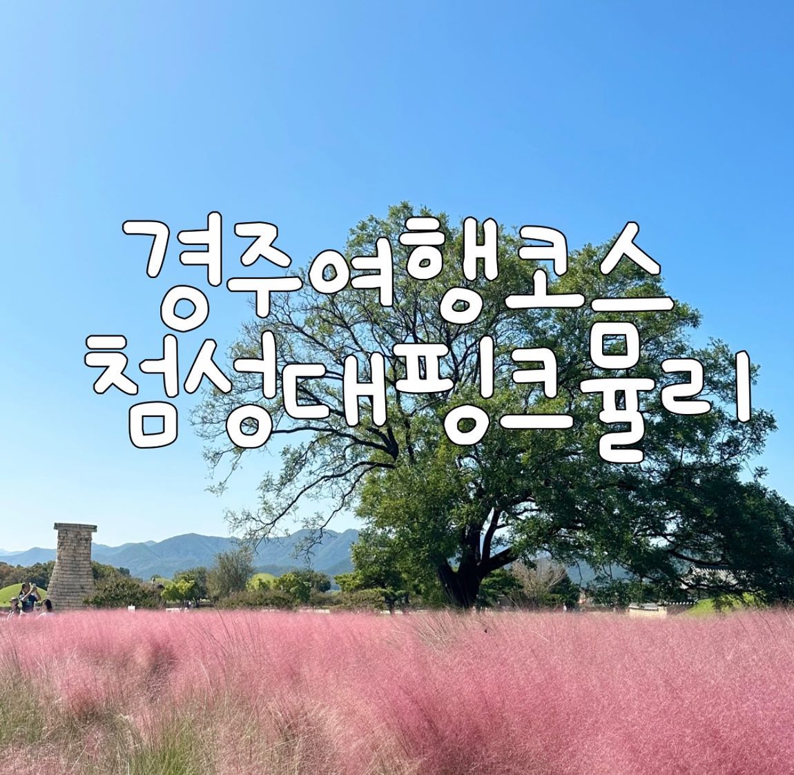 🌸경주 인생샷 즐기러 가기 좋은 코스🌸
_실시간 첨성대 핑크뮬리☺️🌸
⠀
가을에만 즐길 수 있는 핑크뮬리 가득한
핑크핑크한 장소~에서 인생샷 찍기💫
⠀
첨성대 구경하며 황리단길에서 맛있는거 먹어보러
가자구용~~ㅎㅎ🏃🏻‍♀️🌿
⠀
지금 딱 가기 좋은 경주여행코스 랍니당

📍경북 경주시 인왕동 839-1
💐핑크뮬리 개화시기 9월말~11월
🚘대릉원공영주차장 이용
⠀
#경주여행 #경주핑크뮬리 #첨성대 #첨성대핑크뮬리 #경주여행코스 #경주 #경주가볼만한곳 #경주여행코스#좋아요#여행 #여행스타그램✈️