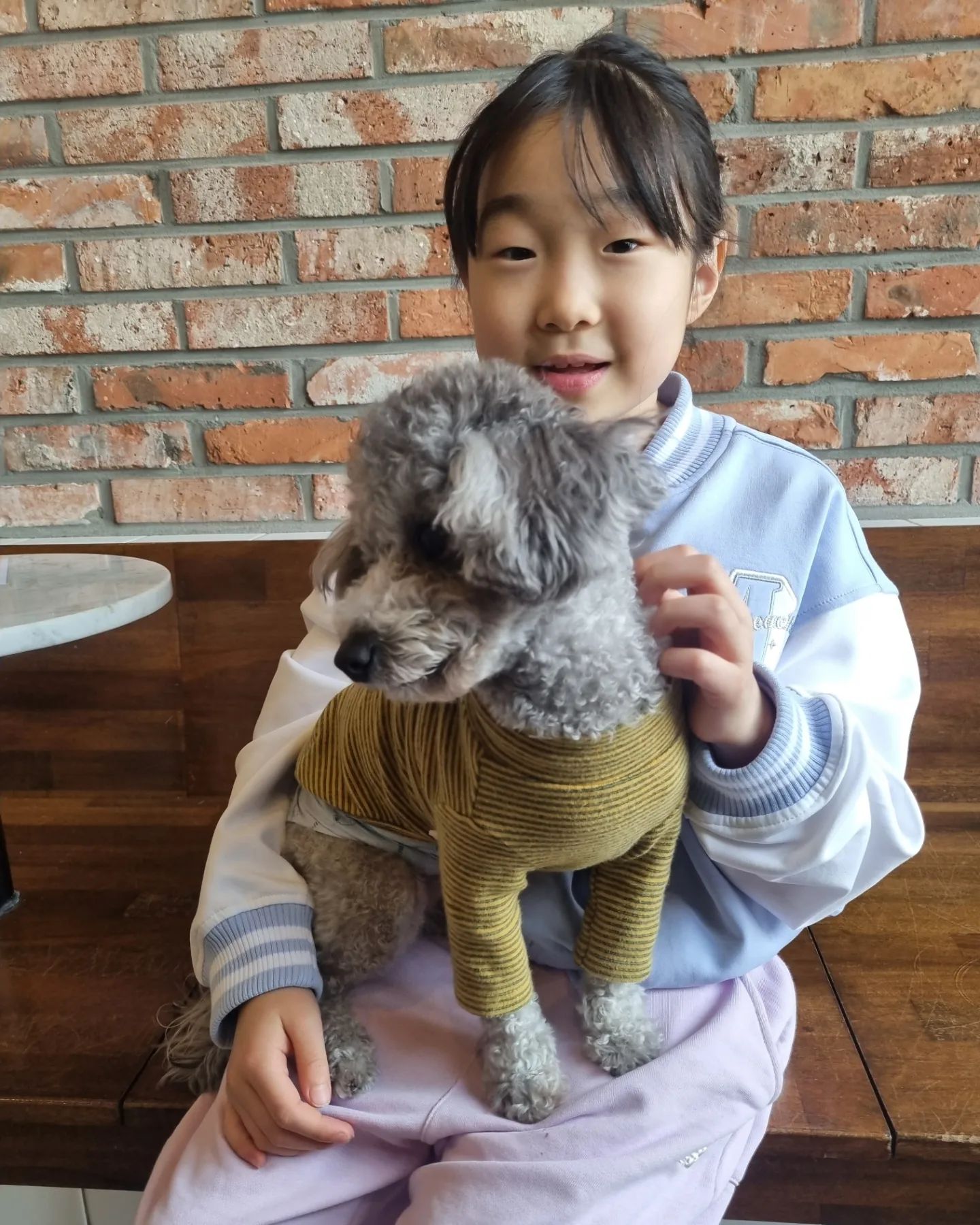 #언니네애견카페
unnine_pet.cafe

다시 찾은 언니네 애견카페🩷

가자마자 (오)레오가
채아 무릎에 앉아 떠나질 않는다ㅋㅋㅋ
귀여워엉~

이번에도 설탕이 크림이 초코, 두부
만나서 너무 반가웠당😍

다음에도 또 만나기~~

#수원애견카페 #수원애견유치원 #원천동애견카페
#애견카페추천 #영통애견카페 #애견유치원 #푸들 #푸들스타그램 #펫스타그램 #강아지그램