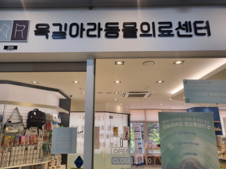 [부천/옥길동] 부천동물병원 옥길아라동물병원 프리미엄건강검진 / 꾸꾸의 림포마 의심