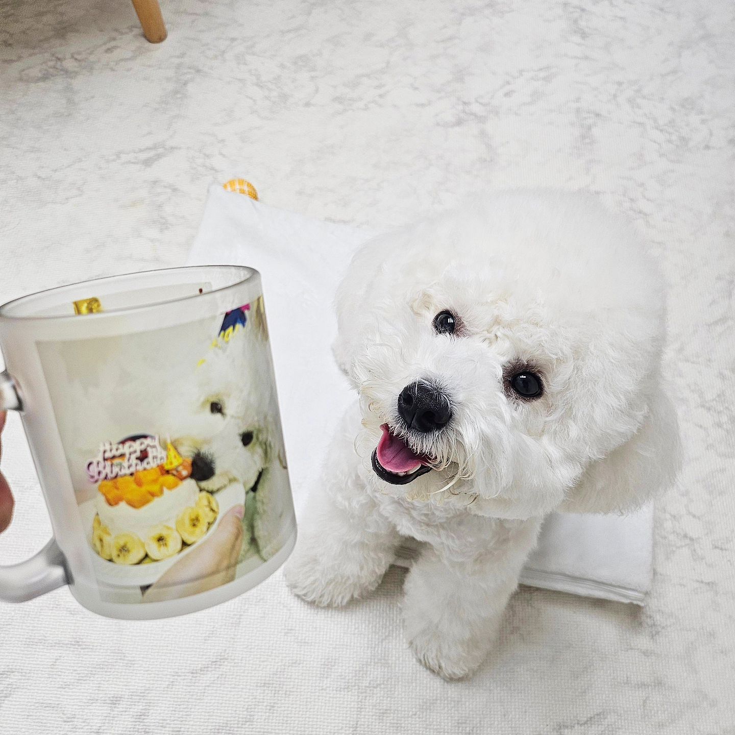 ✨️ 미엘로 주문제작 머그컵 ✨️
meyellow_shop

친구들안녕🖐 오랜만이지⁉️
요즘 눈나가 연말연초에 일이너무바빠서..🥲
그와중에 꼭 칭구들한테 자랑하고싶은게 있어서 왔오‼️

뭐든 처음은 기억에 남잖아..
그래서 찐빵이 처음 생일을 오래 간직하고자
찐빵이 만의 머그컵을 제작했어🩷

❤️ 나를위한, 사랑하는 누군가를 위한 커스텀 머그
🧡 원하는 사진과 문구를 적용하여 제작
💛 도톰한 손잡이에 크기가 커 실용적
💚 입구가 넓어 세척하기 좋음

강아지들 뿐만아니라 
특별히 기념하고 싶은 순간을 담아서..
고이고이 보관하면 너무 좋을것같아💌

#업체로부터제공받은제품입니다 #미엘로 #미엘로반투명컵 #커스텀제작 #주문제작선물 #머그컵제작 #주문제작컵  #컵제작 #컵만들기 #머그컵만들기 #커스텀컵  #포토머그컵  #컵주문제작 #컵선물 #머그잔