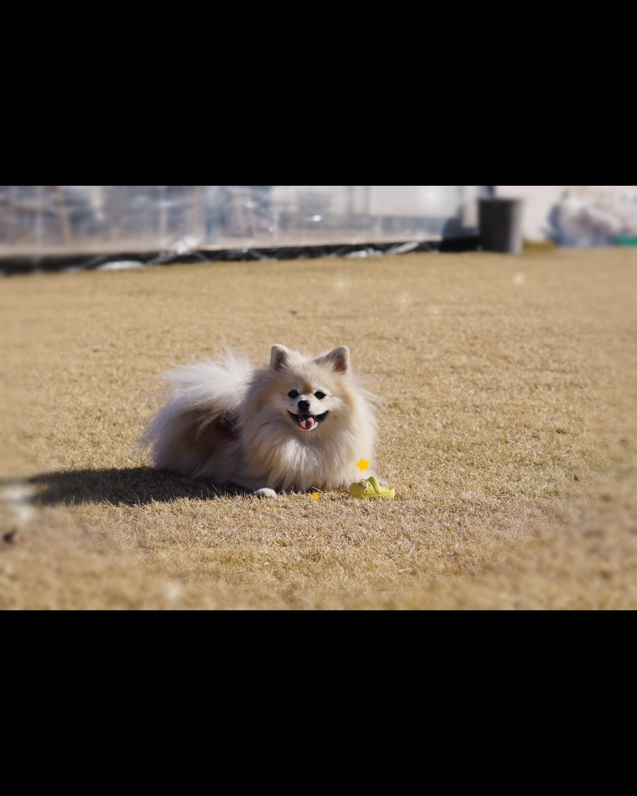 콘텐츠