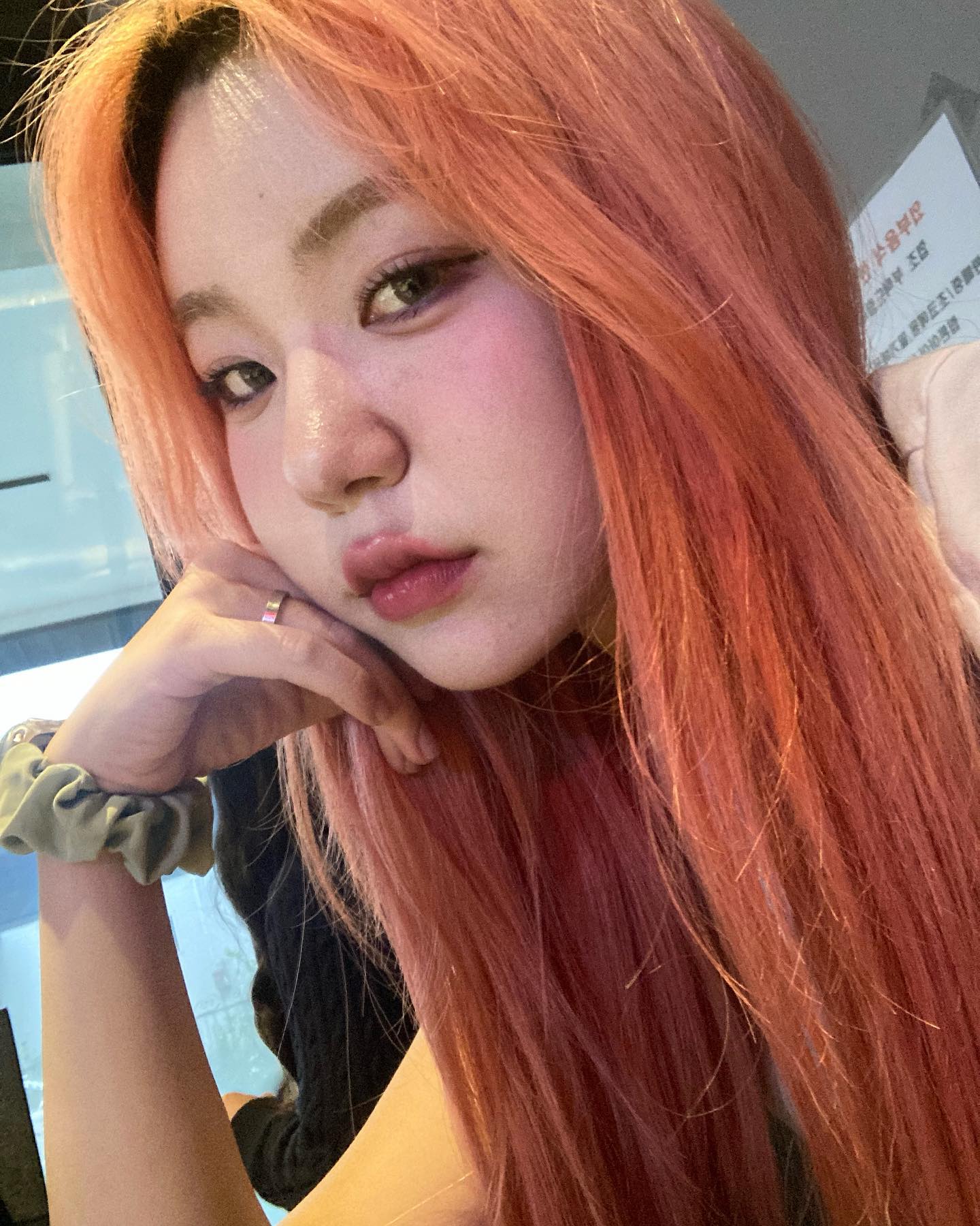 핑머 박제🤪