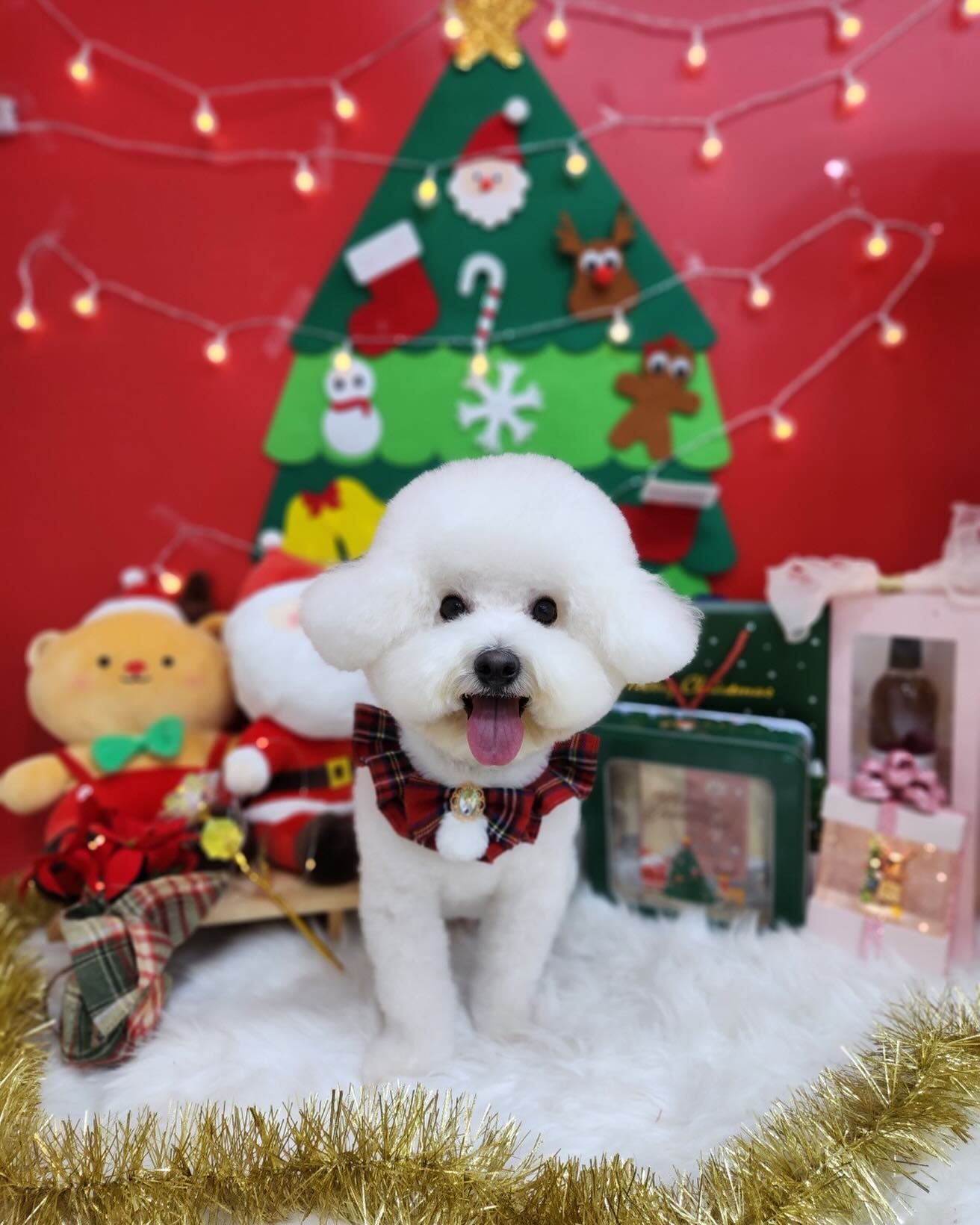 이번 미용도 넘나 성공적..🐶❤️
#아이러브멍 #고양시애견미용