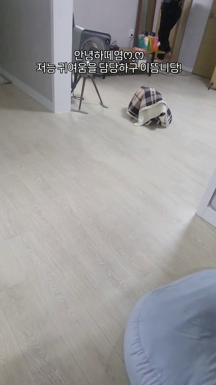 우리집 강아지
