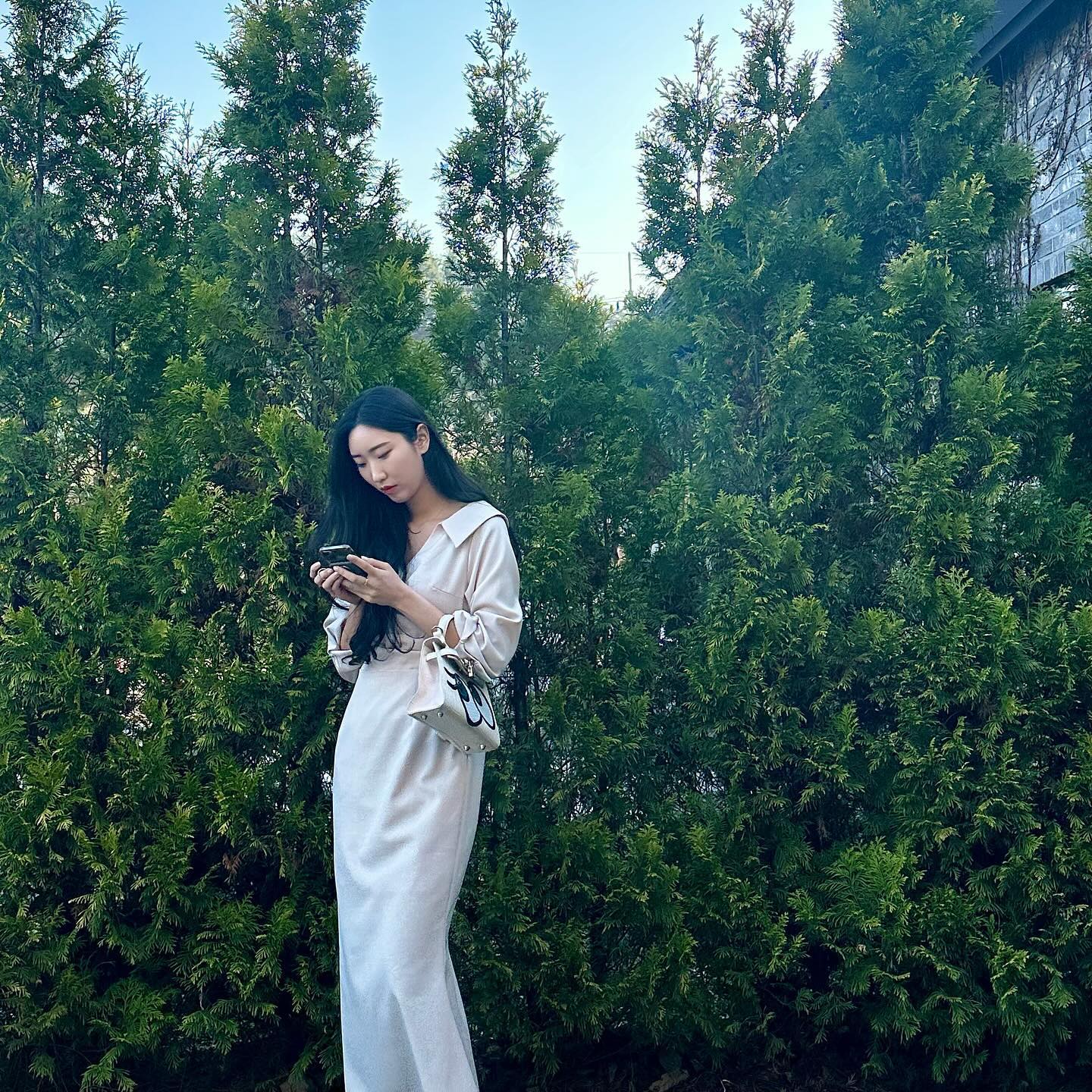 🌲☀️💵