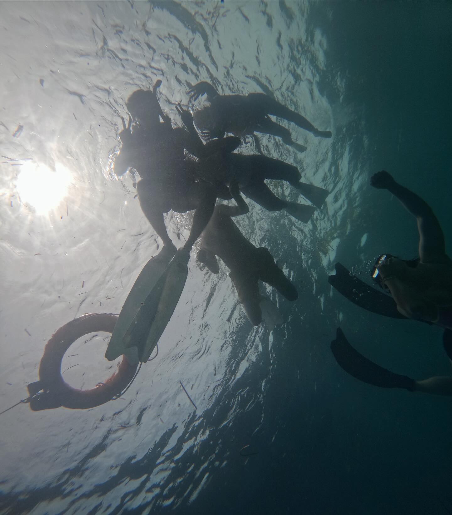 For two days, under the sea 🧜‍♀️🪸🐋🐢
.
.
.
.
.
#oslob #samboan #moalboal #cebu #mactan