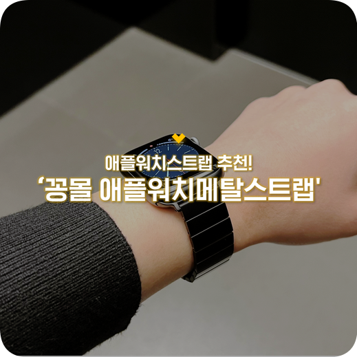 애플워치스트랩 추천 :: 꽁몰 56그램 애플워치메탈스트랩