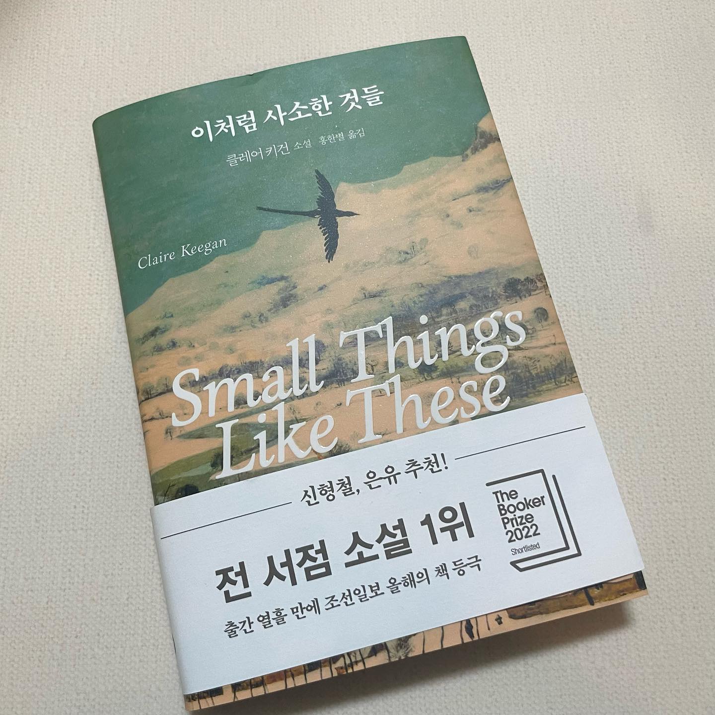 .
사소한 것에 더 감사하고 소중함을 느낄 수 있는 책📚
지금의 나에게 더 힘을 실어주는 묵직한 내용이라 더 좋다

 #이처럼사소한것들 #도서추천