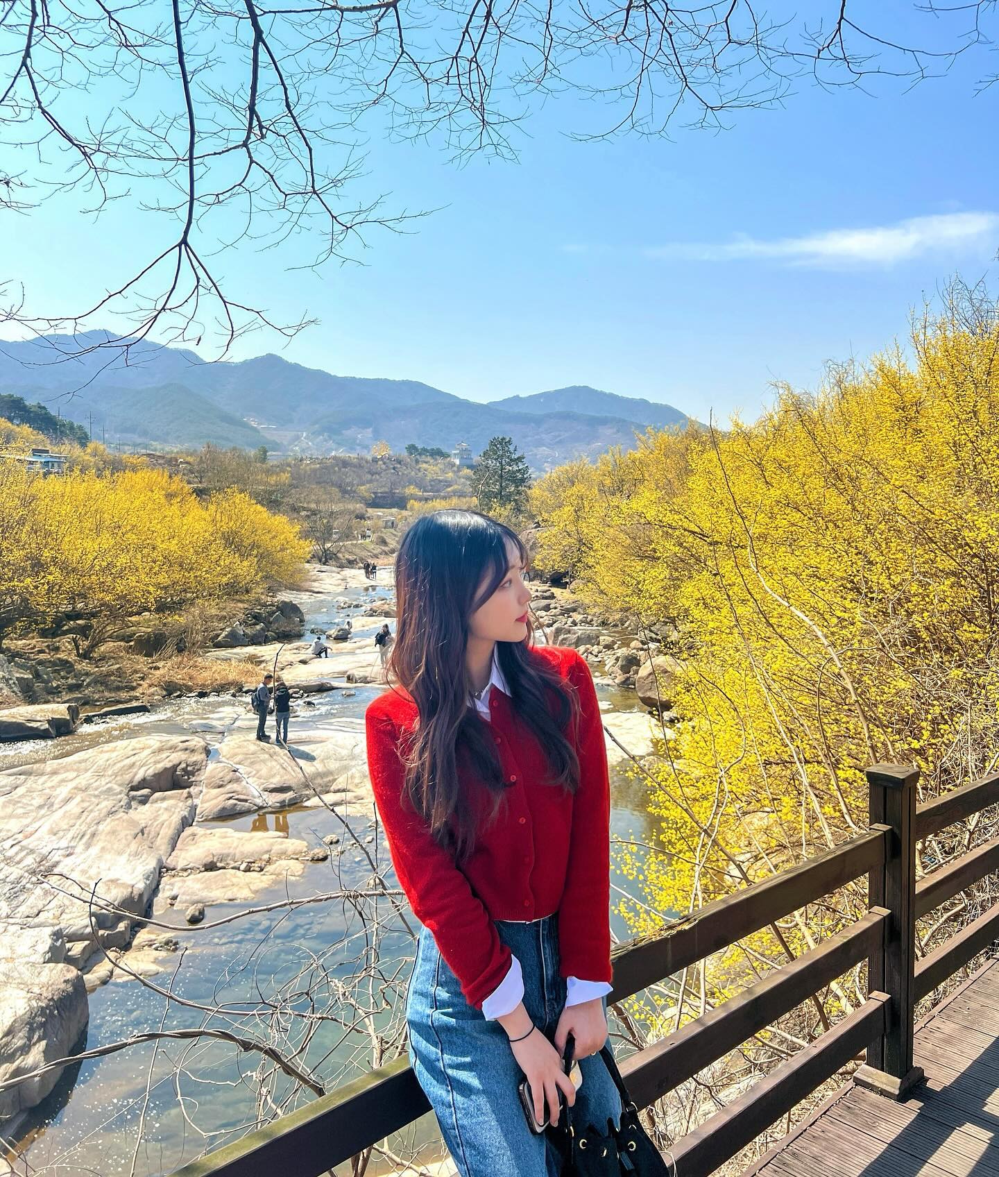 콘텐츠