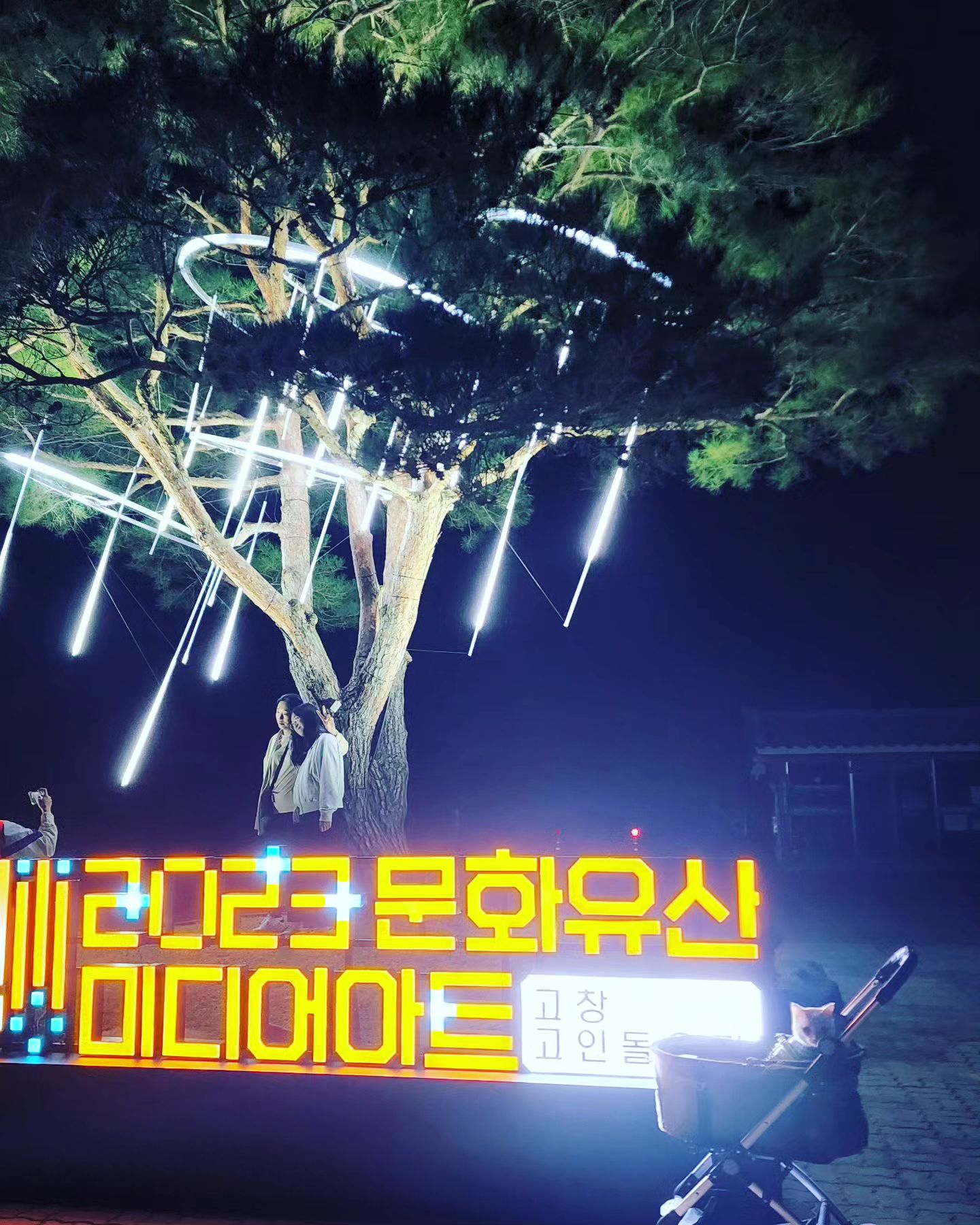 고양이키키와 함께하는 고인돌유적미디어아트

#고창고인돌문화유적문화유산미디어아트  #고창고인돌방문기념샷  #가을밤 #가을여행 #고창고인돌