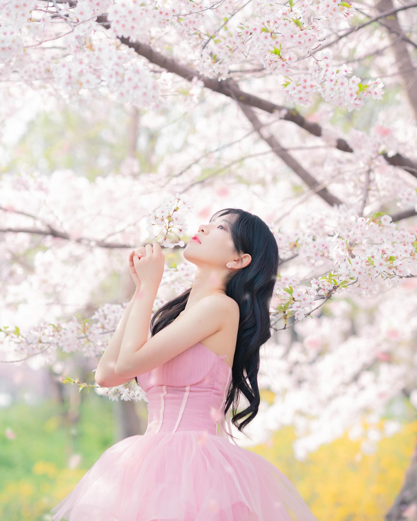 벚꽃 내년에 또봐🌸

photo by dong.hwa_photo