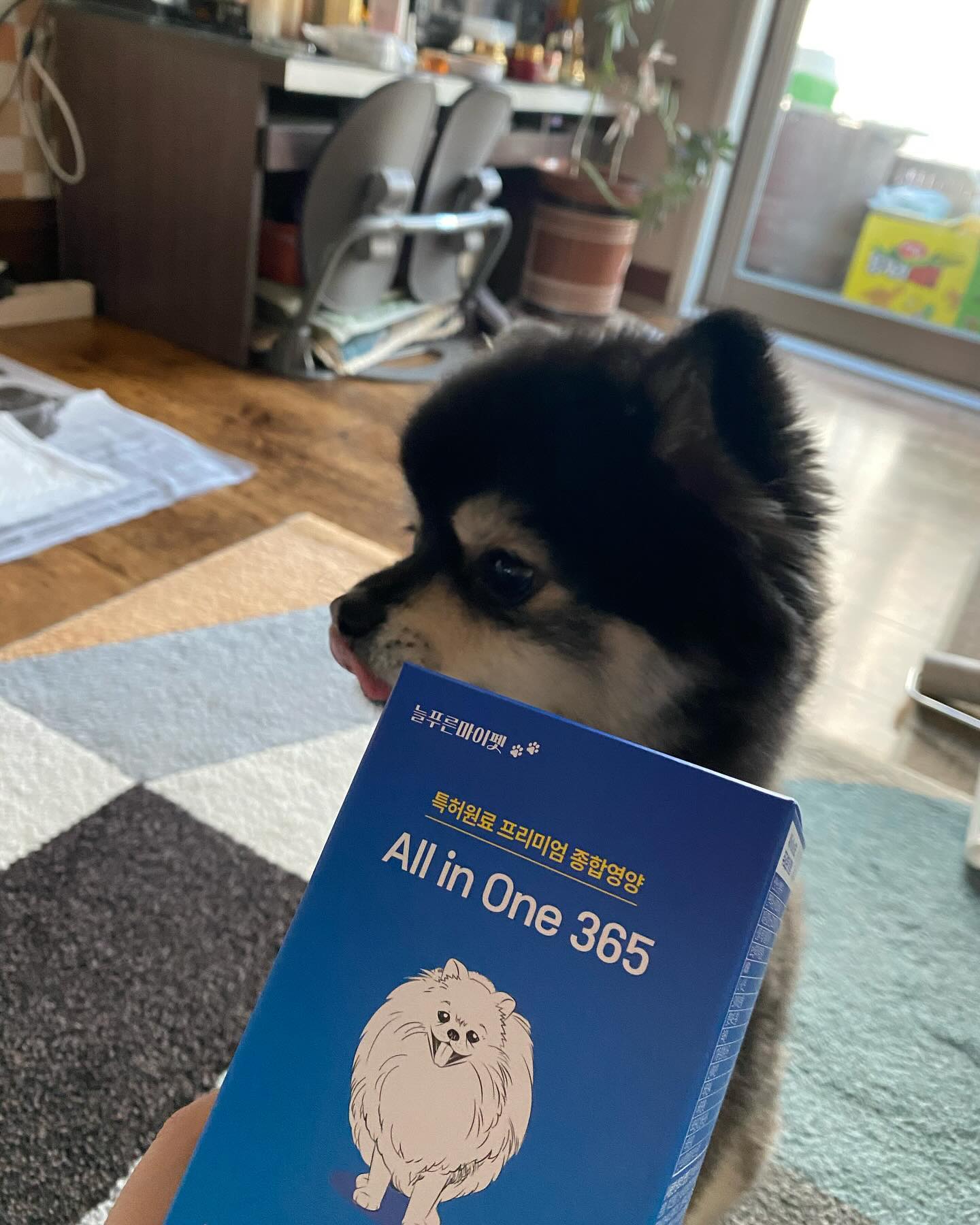#협찬

늘푸른마이펫 올인원365 영양제 🐶

최근에 강아지에게 좋은 성분을 모두 포함시킨 영양제가 출시되었다는 지인 추천으로 구매했어요~!!
올인원365는 성분과 함량을 상세페이지와 상품 박스에 정확히 표기하여 신뢰가 가는걸요?

평소 슬개골이 안 좋아서 강아지 관절이 걱정인데
사람도 못 먹는 산양산삼을 첨가하였다니 기대가 되서 구입했는데 일단 강아지가 너무 잘 먹고 평소와 다르게 펄펄 날아다녀요!!
강아지가 너무 잘 먹어서 사료에 뿌려주니 평소 안 먹던 사료도 싹싹 다 먹어치웠지 모에요~? ㅎㅎ

평소 강아지 슬개골이 안 좋아서 꾸준히 먹일 영양제가 필요했는데 여러가지 좋은 성분이 들어 있고 특히 MSM과 보스웰리아가 첨가되어 있어 기대가 됩니당>_<

✅링크
https://sbz.kr/Lz6l3

#늘푸른마이펫#강아지영양제
#강아지종합영양제#강아지관절영양제#강아지유산균#강아지오메가3 #강아지오메가##강아지비타민#강아지변비#애견영양제