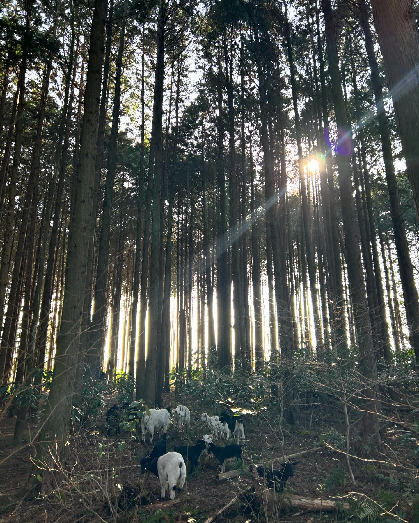 쏘 로맨틱 제주