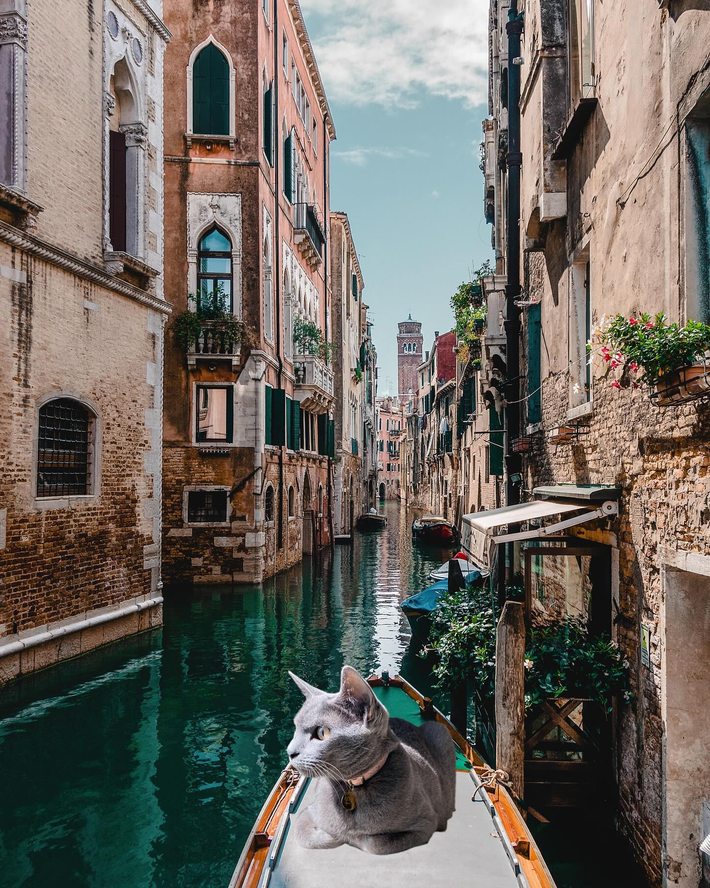 Venezia, Italy🇮🇹

#이탈리아 #베네치아 #이탈리아여행 #여행스타그램 #italy #venezia #italytravel #cattraveler