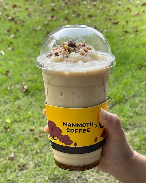 나영스 따봉스👍🏻 on Instagram: "#협찬 매머드커피 X 맛밤 콜라보 가성비로 유명한 매머드 커피에서 지금날씨와 딱 잘어울리는 밤음료2종과 밤으로만든 디저트1종을 출시했어요🍂🍁 밤하