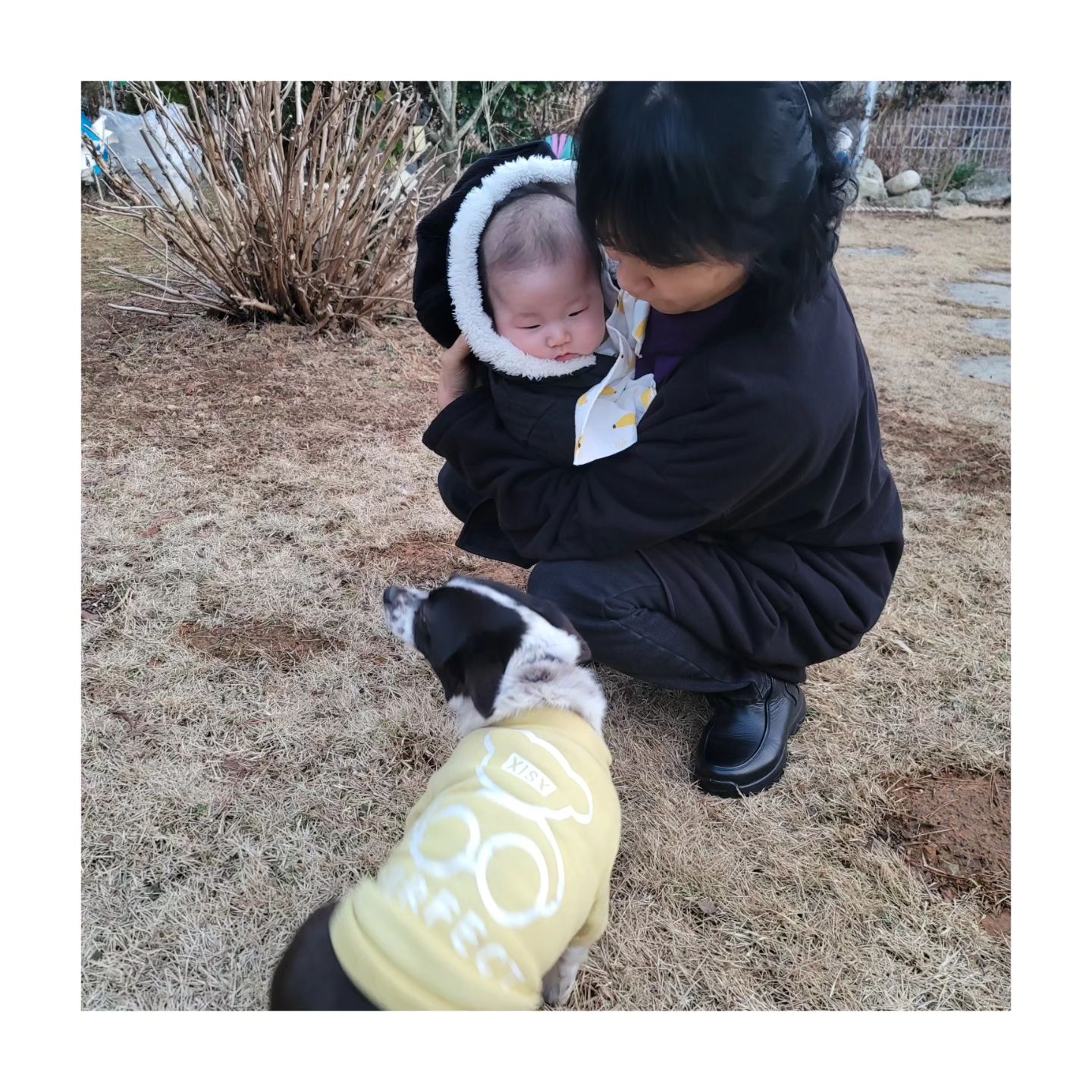 큰할아버지 집에서 멈무🐶 처음 본 토복이 💕
영리한 사랑이는 처음보는 토복이가 아기인줄 아는듯이
짖지도않고 꼬리를 살랑살랑 흔들어줬다 ㅎㅎ
식당에서도 편하게 밥 먹으라고 조용히 잠들어준 토복아
고맙고 사랑해💕